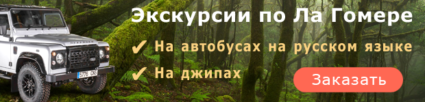 Экскурсии на остров Ла Гомера на русском языке