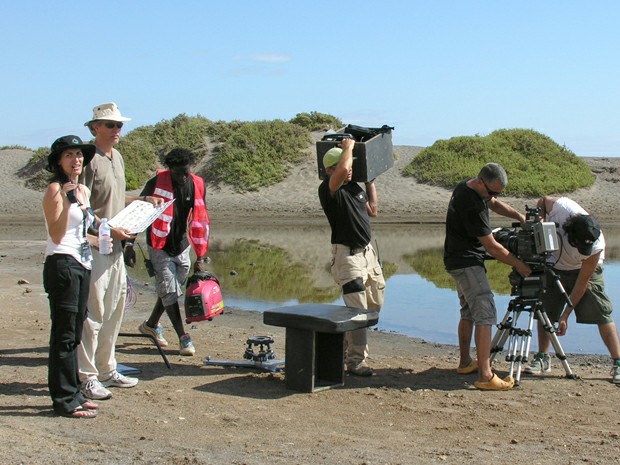 ��� ����������