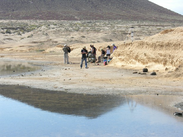 ��� ����������