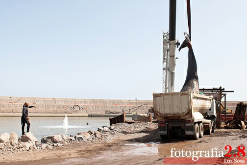 ������� � ����� ��������