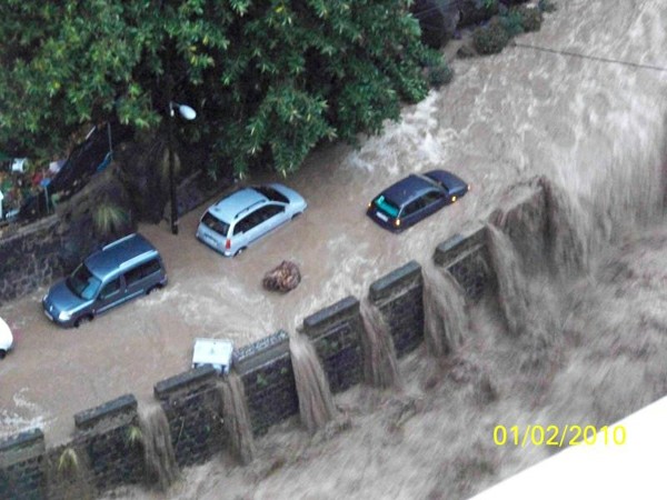 ��� ��������