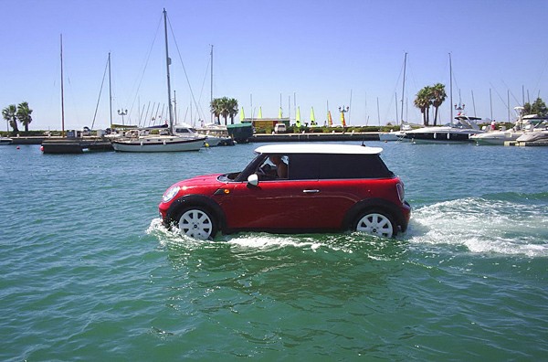 ��� ��������