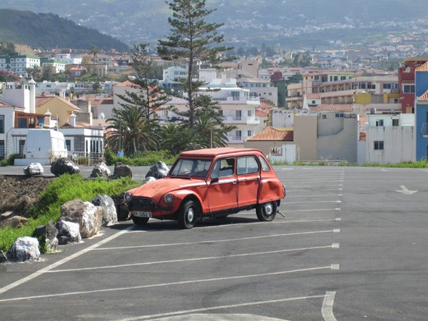 ��� ��������