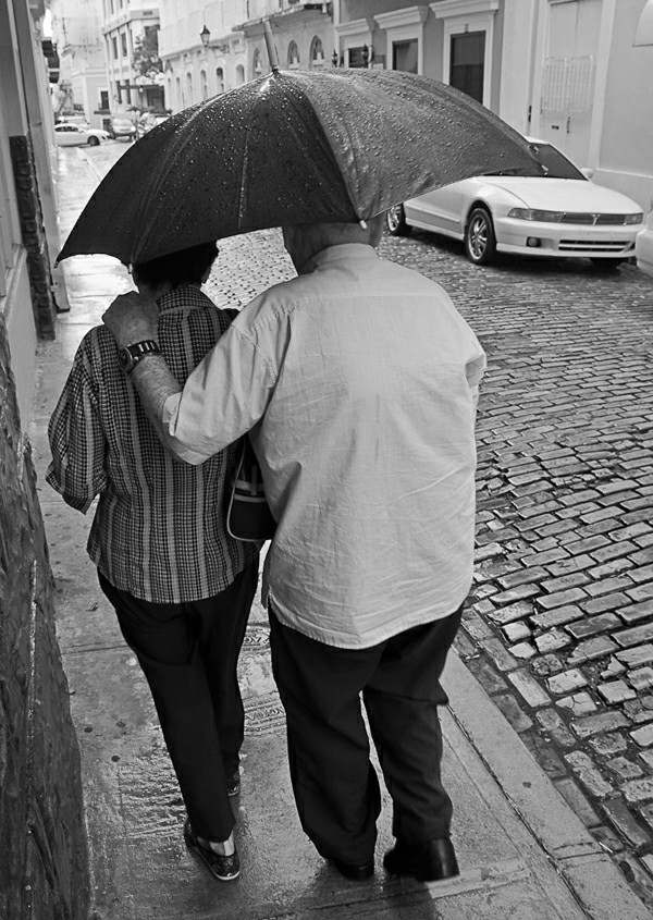 ��� �����