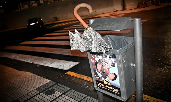 ��� �����