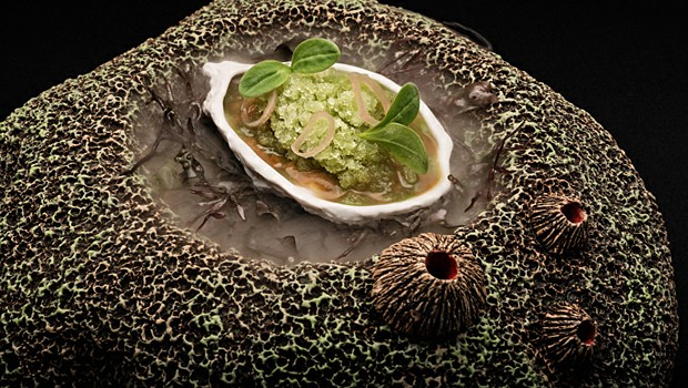 ������ ��������� �������� � M.B.