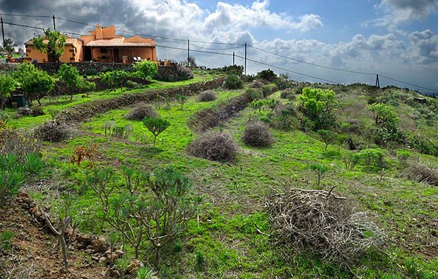 �������� ��� � �����