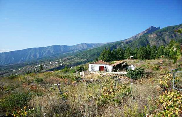 �������� ����� � �����