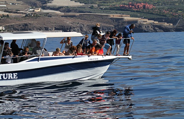 ������� �������� � �������