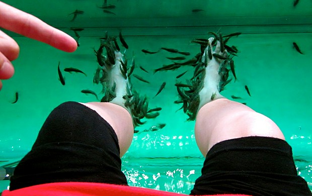 ������ ��� � Fish SPA