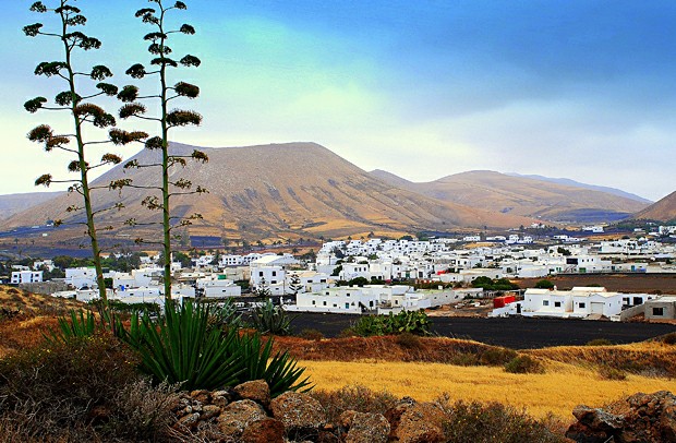 ������ ���������