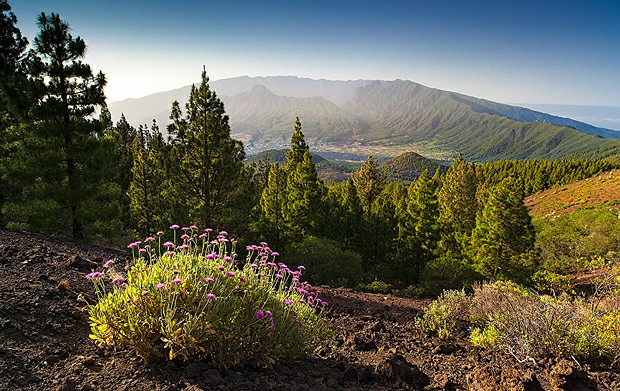 ������ �� ������