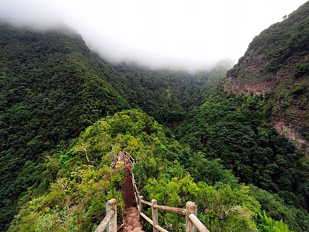 ������ �� ������