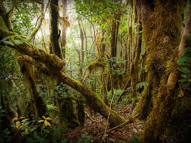 ����������