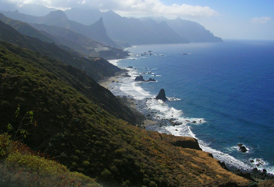 ���������� ����� ��������: ����� �� ������