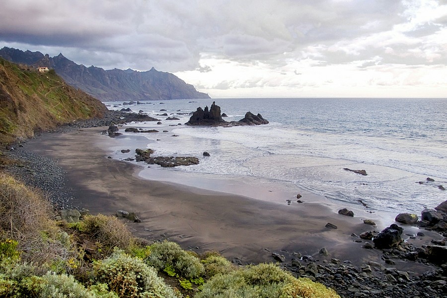 ���� ������ �� ��������