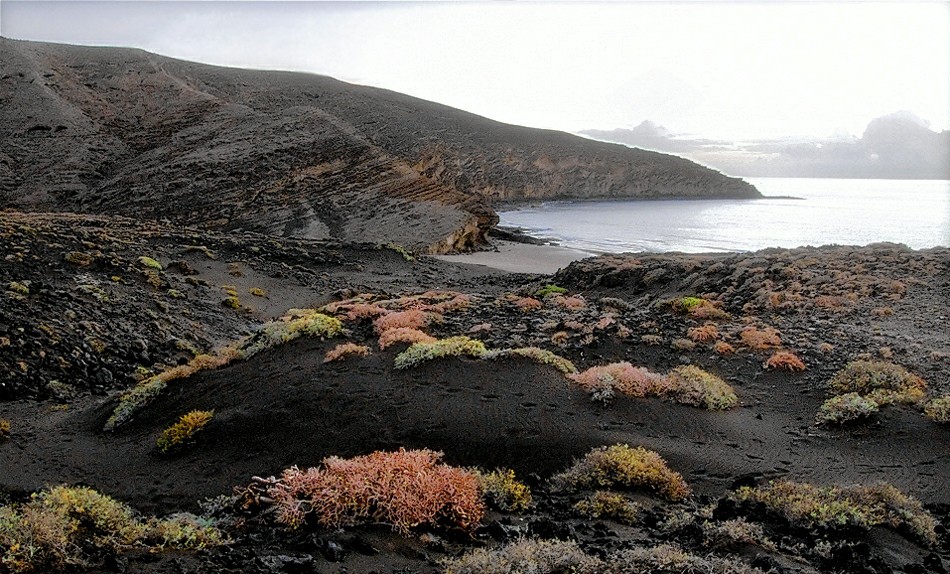 ���������� ����� ������� ��������: �������� ������