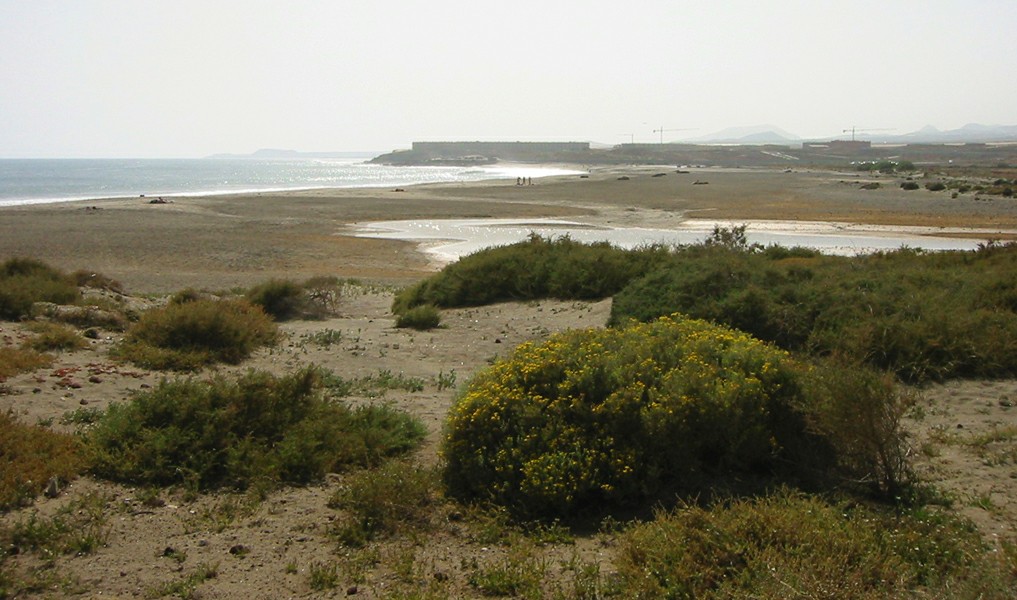 ����� �� �� ������