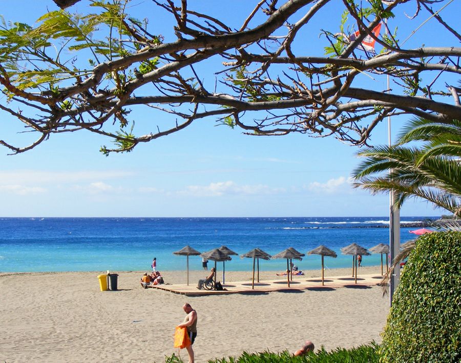 ����� �������/���������