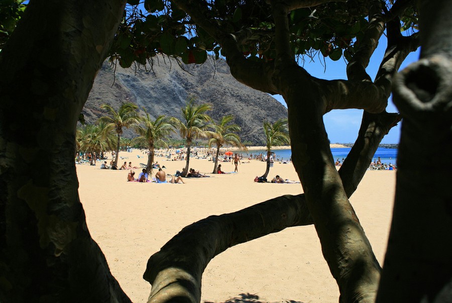 ���� ����� �� ��� ���������