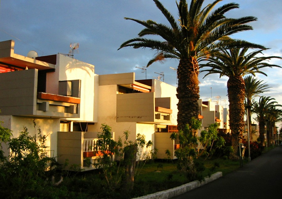 ��� ����