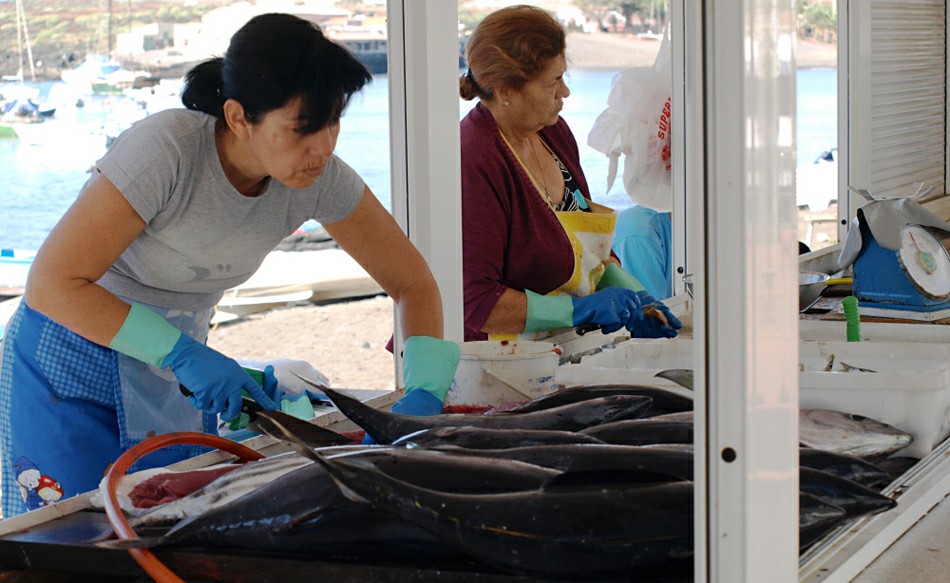 ��� ��������