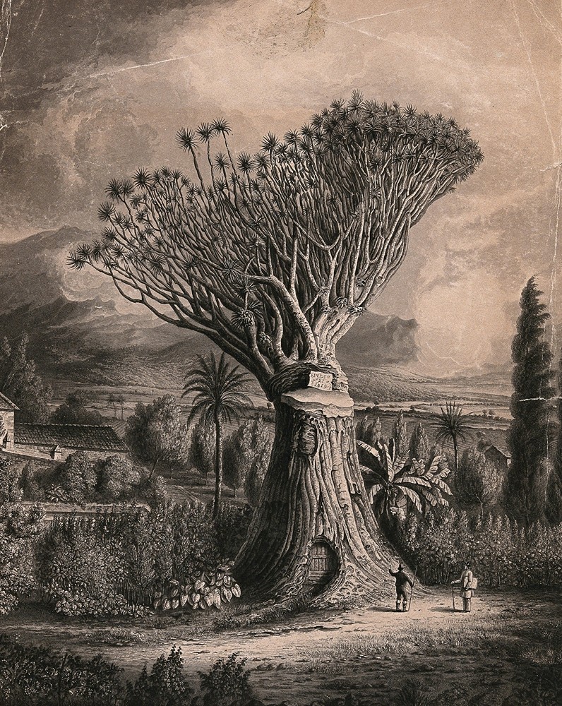 ��������� ������