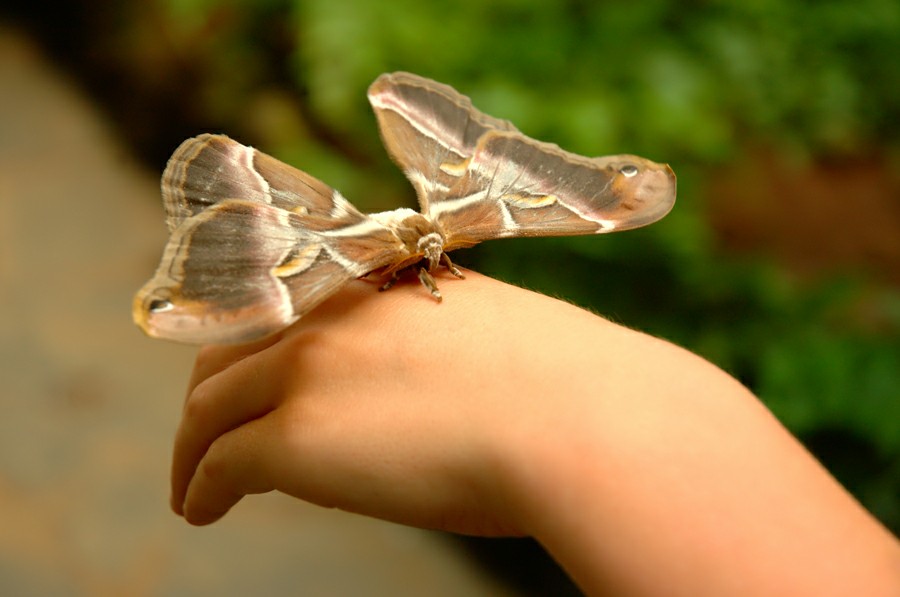 ���� ������� � ���� �� ��� �����