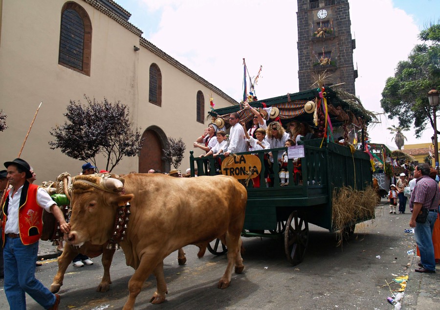 ������� ��� ������ ���� � �� ������