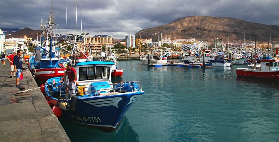 �������� ����� � ����� ��� �����������