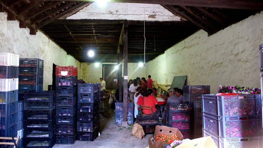 &laquo;���� ������&raquo; � �� �������