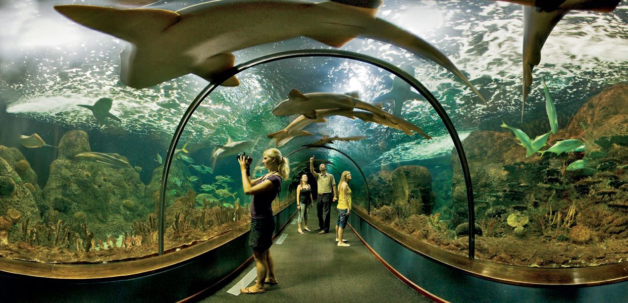 ������ �� �� ����