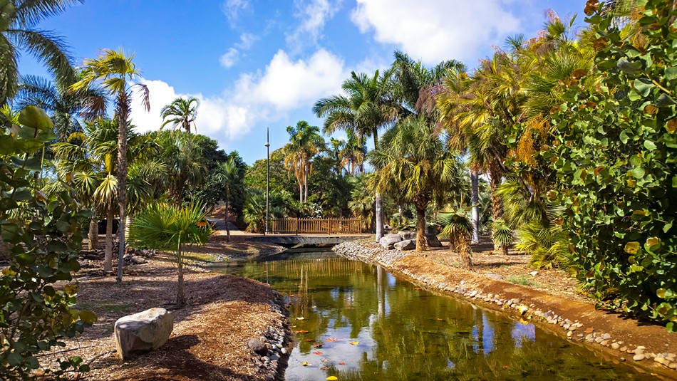 ���������, ����� ���� �� ��������