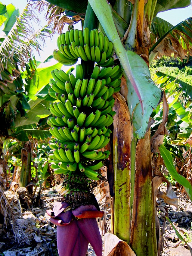 ��������� ������