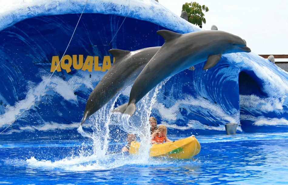 �������� ��������, ��� ���������