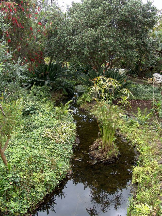 �������� &laquo;��� ������&raquo;