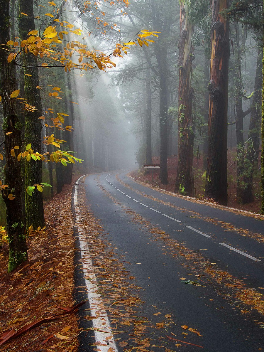 ����� TF-24 �������� ����� ���������� ��� ���������