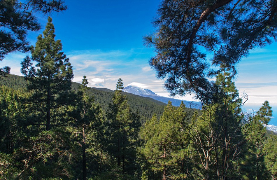 ��� �� ������ ����� � �������� �� �������