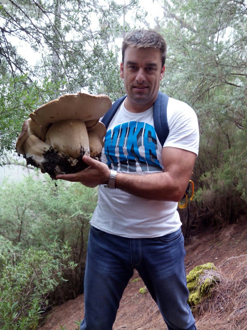 Грибы в лесу Эсперанса на Тенерифе