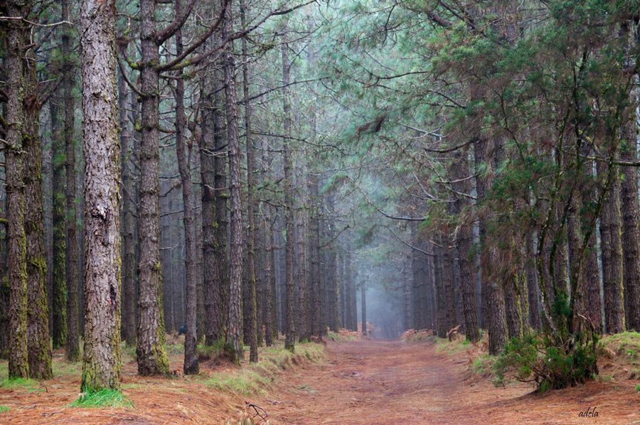 ��������� ������ � ���� ���������