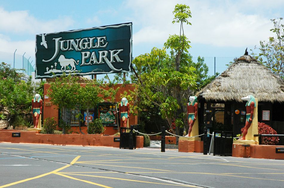 ���� �����