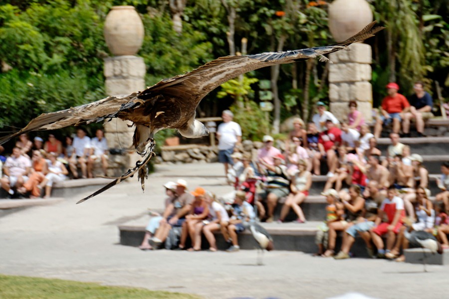 ���� �����