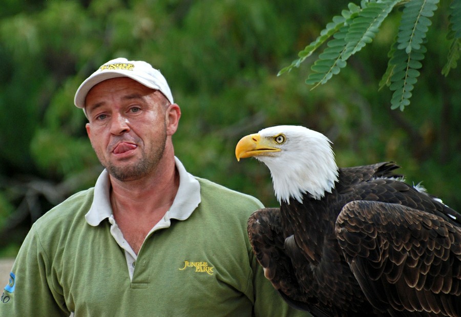 ���� �����