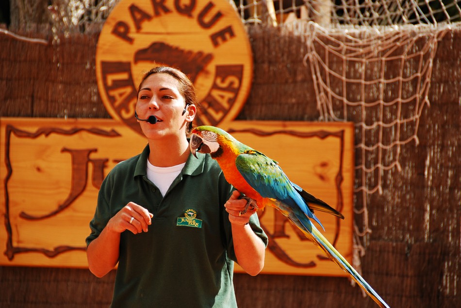 ���� �����