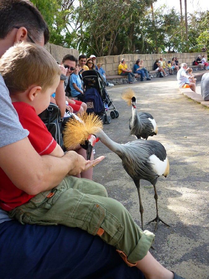 ���� �����