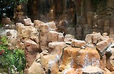 Парк орлов на Тенерифе