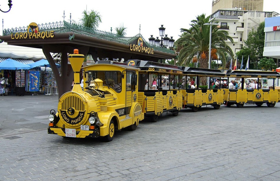 ����� � ���� ����