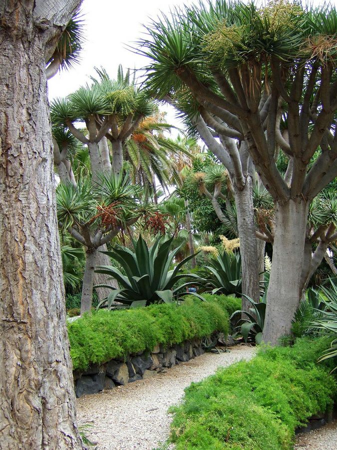 ���� ����: ��������� ������