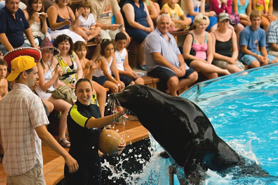 ���� ����: ��� ������� �������