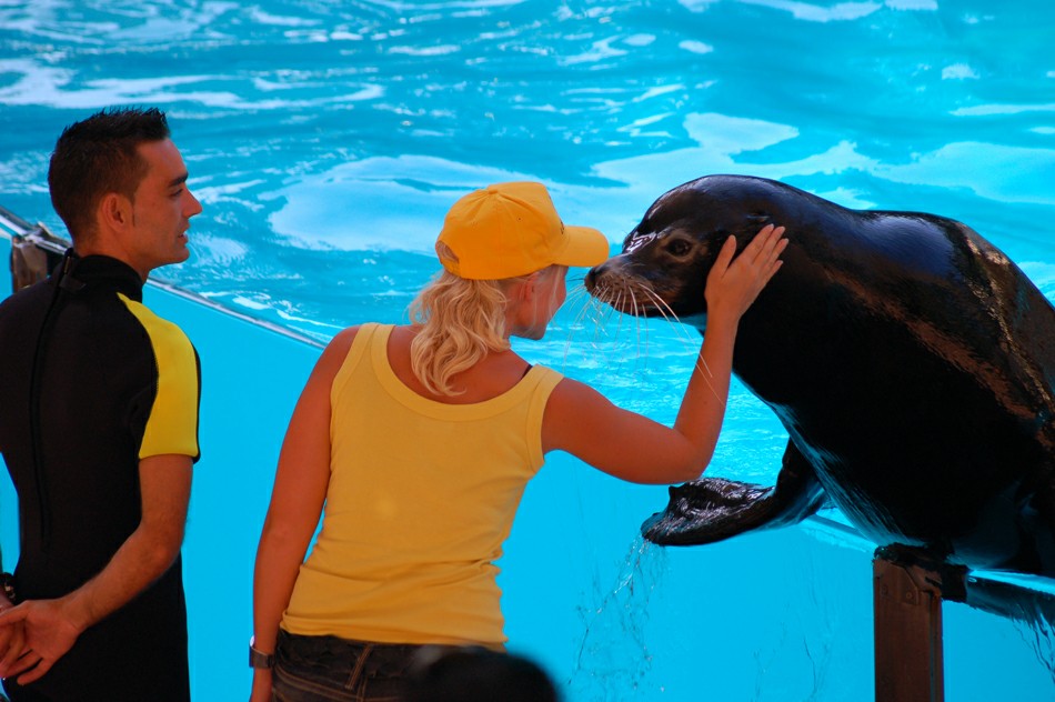 ���� ����: ��� ������� �������